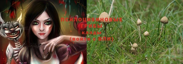 a pvp Алексеевка