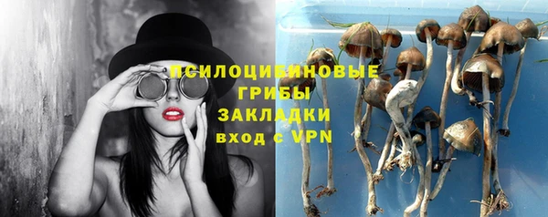 mdma Каменка