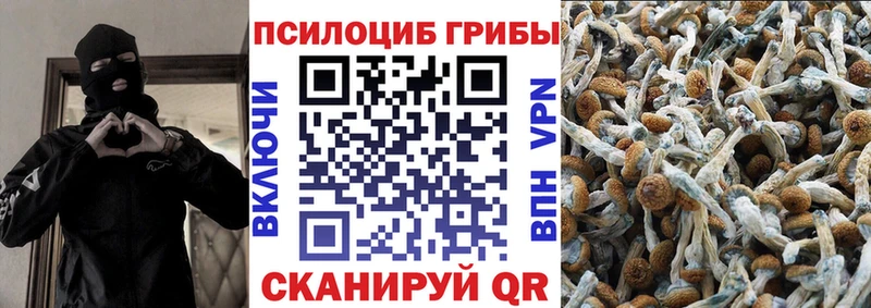 как найти закладки  Юхнов  кракен tor  Псилоцибиновые грибы Psilocybe 